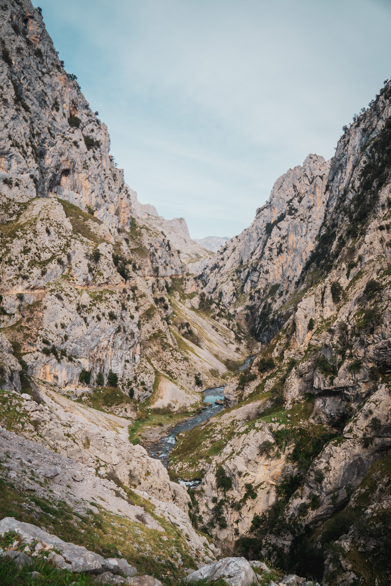 Picos de Europa photo 19